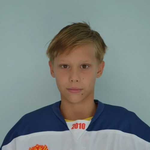 Sisin Vladimir Alekseevich