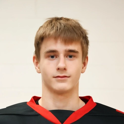 Ryabov Dmitrii Artemovich