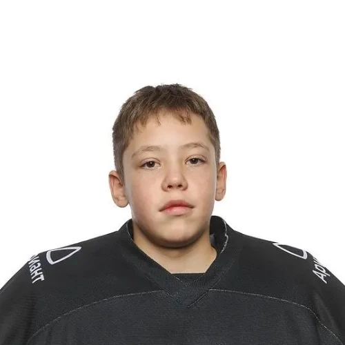 Pavlushin Dmitrii Viktorovich