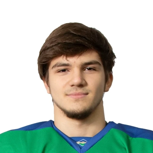 Agliullin Salim Dinarovich