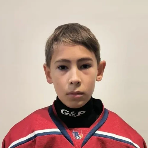 Biktashev Artem Timurovich