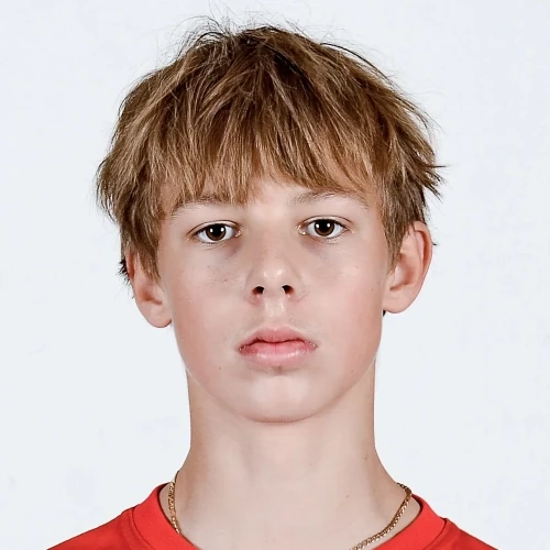Kozlovich Nikita Sergeevich