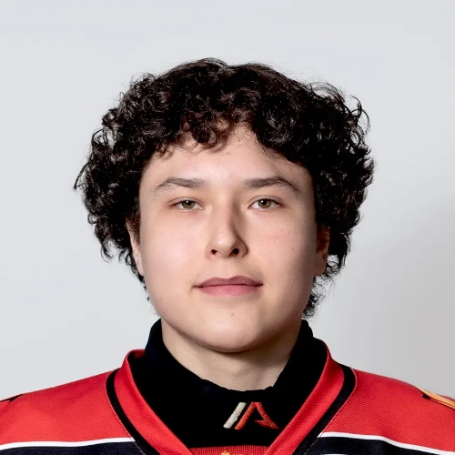 Kuznetsov Dmitrii Valerevich