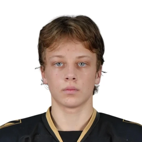 Pavlyuk Vyacheslav Dmitrievich
