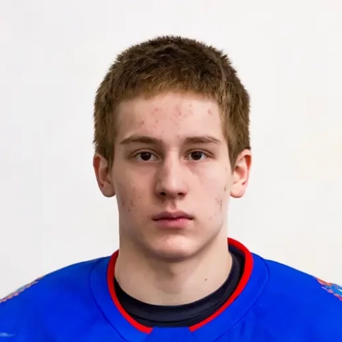 Farvaev Amir Aidarovich