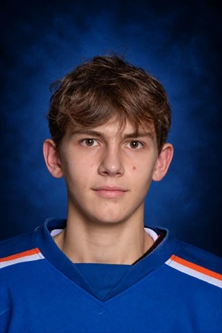 Harlamov Daniil Artemovich
