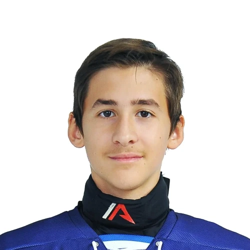 Cherkasov-levshunov Platon Dmitrievich