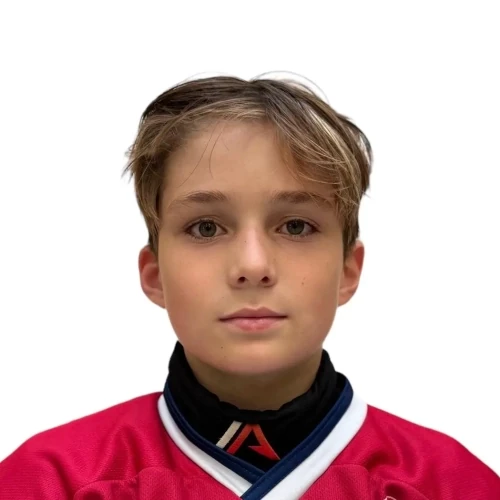 Ravilov Artem Ildarovich