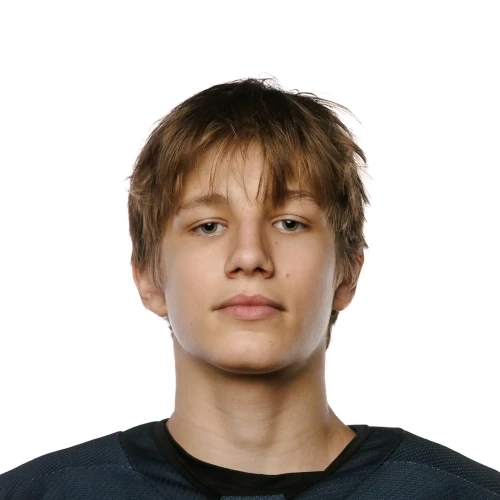 Romanov Egor Artemovich