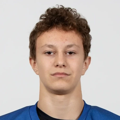 Shahvorostov Mihail Aleksandrovich
