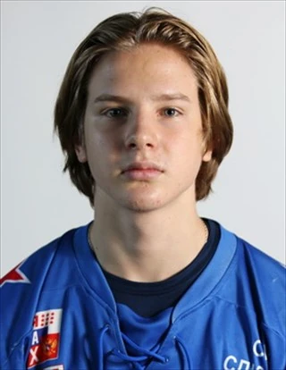 Lvov Nikita Vitalevich
