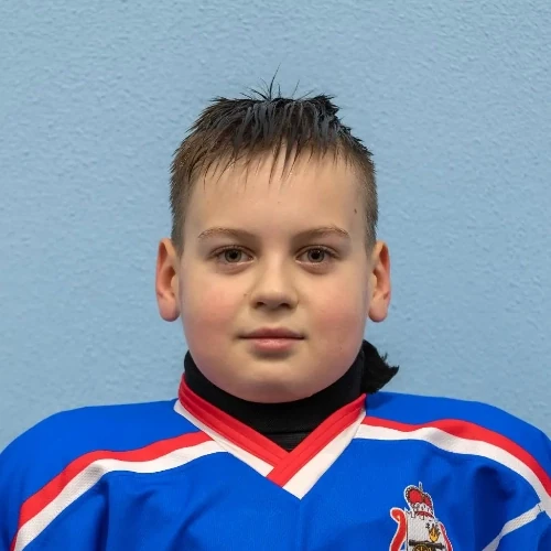 Voitov Artem Denisovich