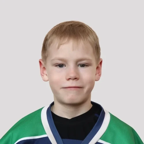 Avdeev Roman Vyacheslavovich