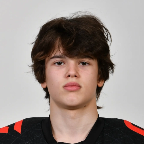 Vilkin Maksim Aleksandrovich