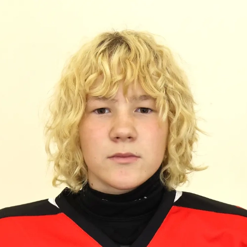 Eremenko Maksim Nikolaevich