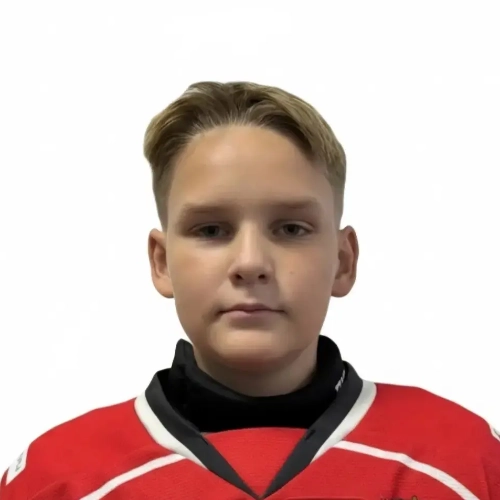 Anisimov Aleksei Artemovich