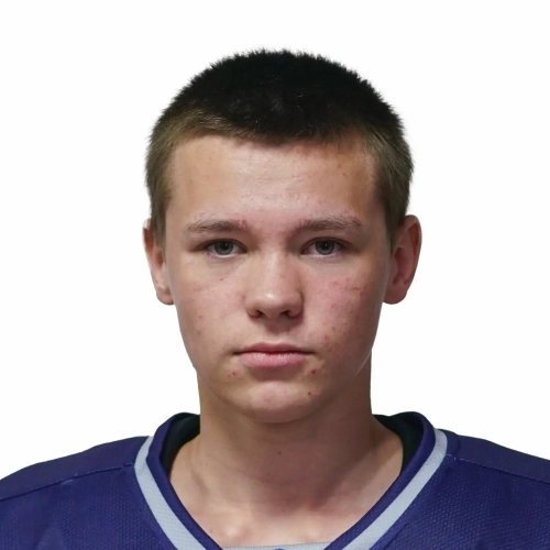Litvintsev Roman Dmitrievich