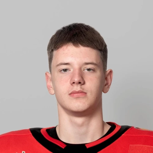 Plotnikov Ivan Andreevich