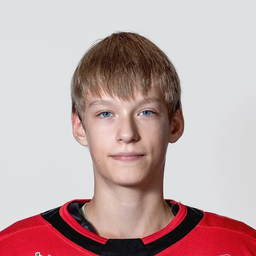 Stepanov Matvei Aleksandrovich