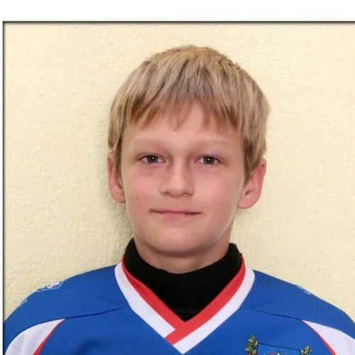 Moiseev Artem Ivanovich