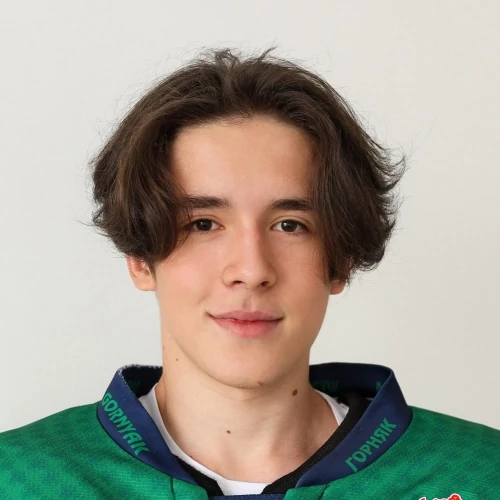 Ahmetov Ilnur Maratovich