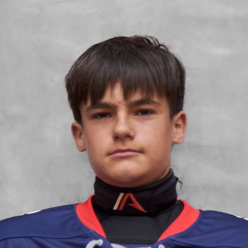 Krivoshlyapin Nikita Sergeevich