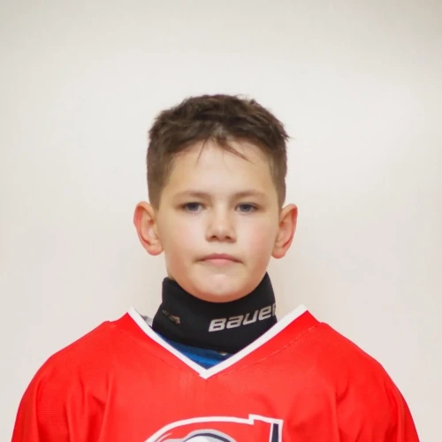 Muhametshin Maksim Vitalevich