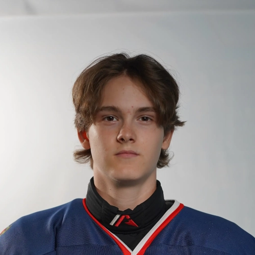 Stefanenko Gleb Igorevich