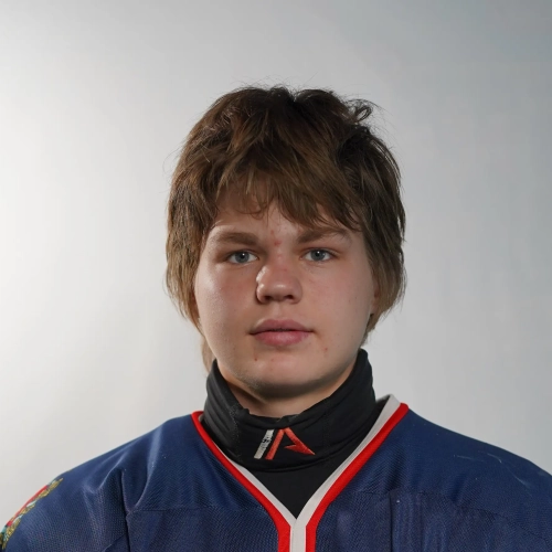 Solovev Timofei Grigorevich