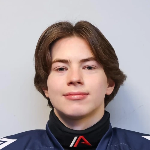 Lisin Artem Evgenevich