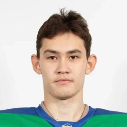 Салимов Аскар Ильшатович