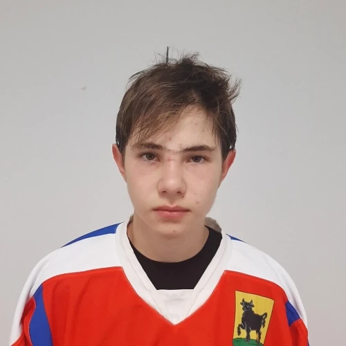 Timaev Artur Menirovich