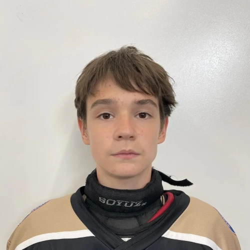 Larin Kirill Igorevich