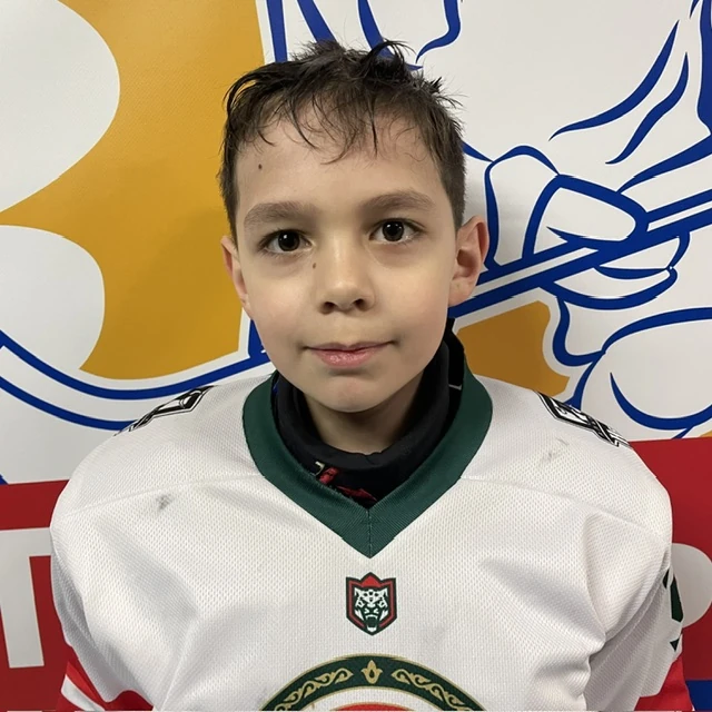 Sergeev Radmir Arturovich