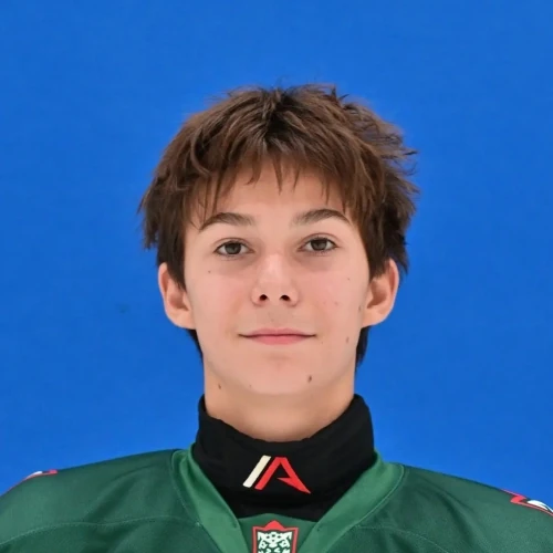 Zamaltdinov Karim Radikovich