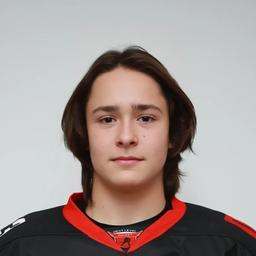 Molgachev Andrei Vladimirovich