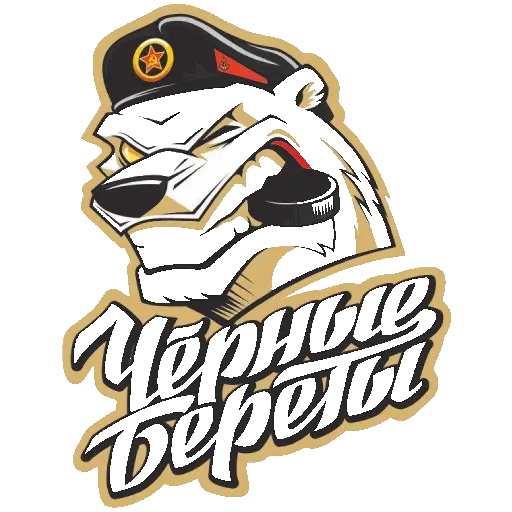 ХК Чёрные Береты