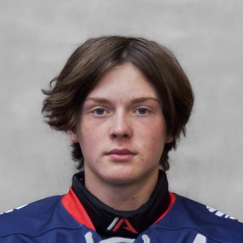Shishlyannikov Ivan Andreevich
