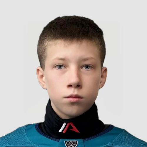 Skorikov Denis Igorevich