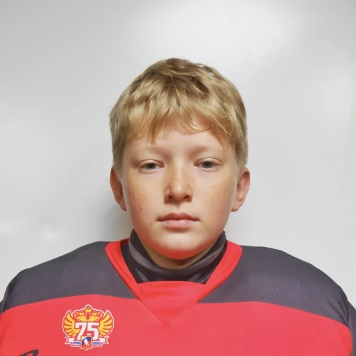Staroseltsev Miron Dmitrievich