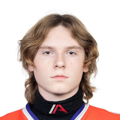 Harlamov Matvei Evgenevich