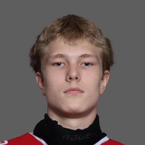 Minin Nikita Vitalevich