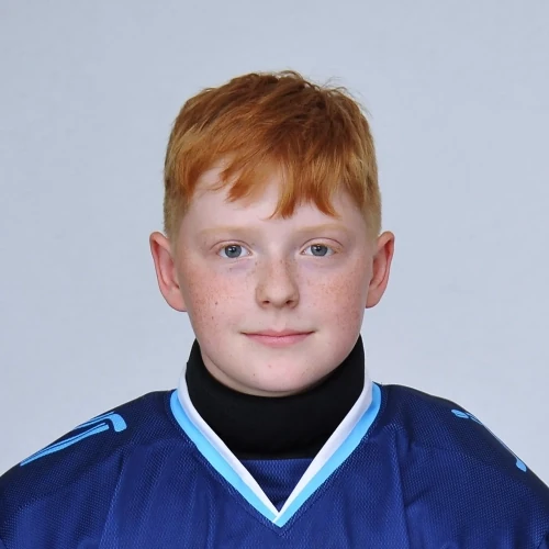 Moiseev Dmitrii Dmitrievich