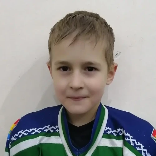Ильин Всеволод Дмитриевич