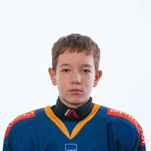 Tihonov Rolan Igorevich