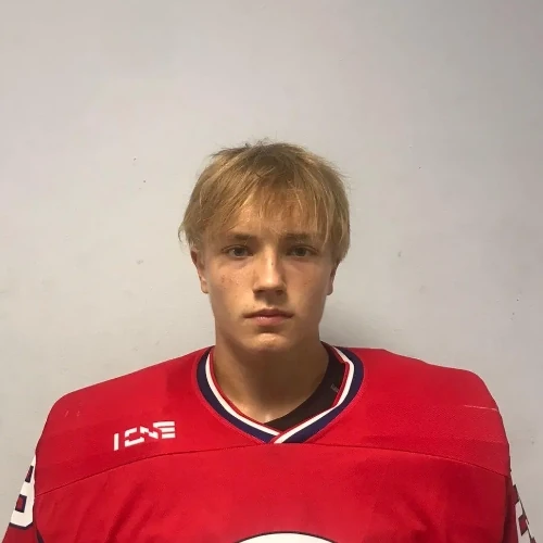 Milochkin Artem Aleksandrovich