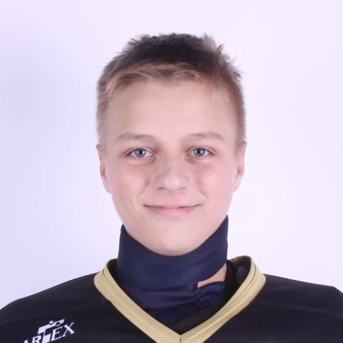 Chernyh Dmitrii Vladimirovich