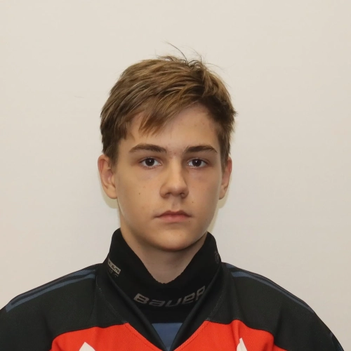 Koptelov Timofei Sergeevich