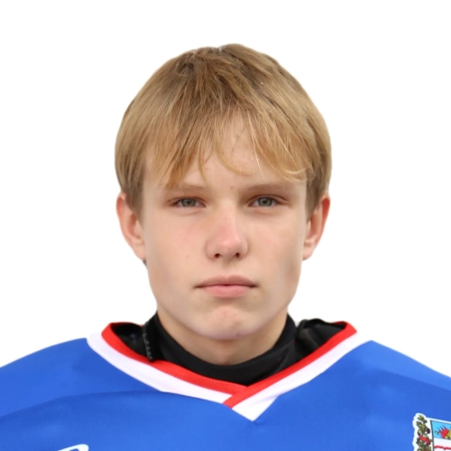 Sharikov Stepan Alekseevich