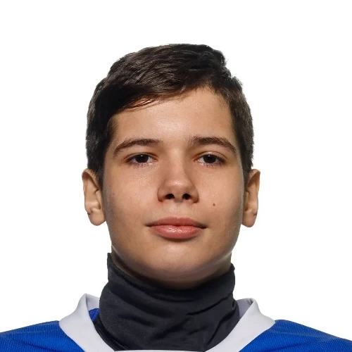 Mihailov Denis Sergeevich